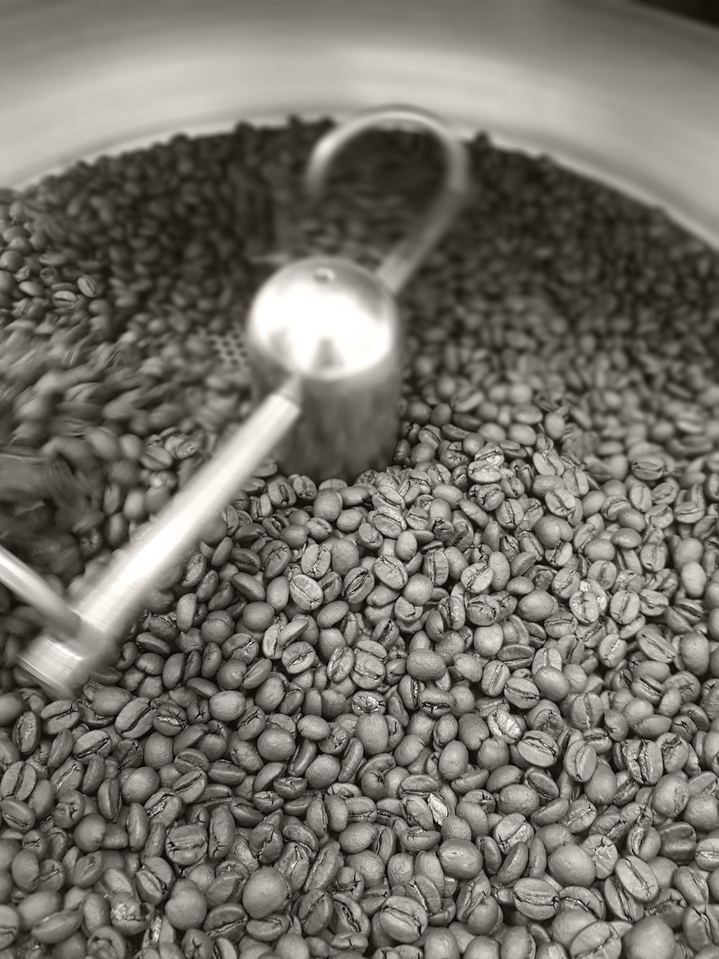 Sable, les grains de café du monde se torréfient à Camaret-sur-Mer